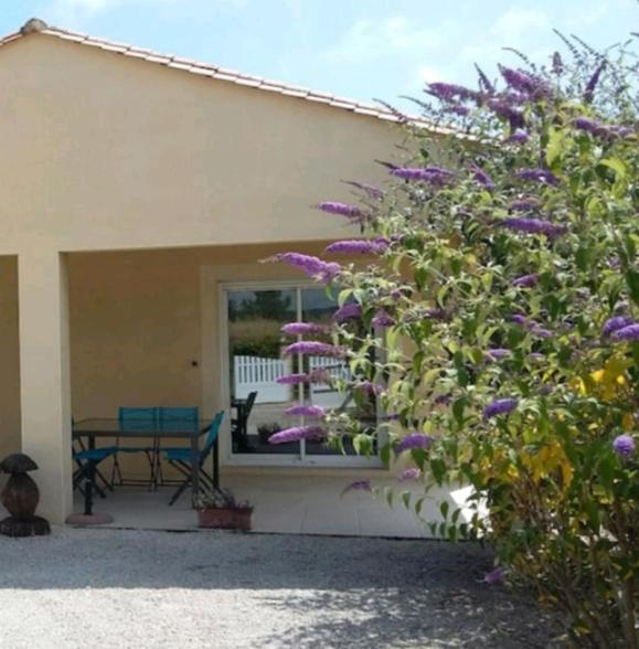 Maison 3 Etoiles Avec Piscine Et Jacuzzi Exterieur Pres De Sarlat Saint-Vincent-le-Paluel Zewnętrze zdjęcie